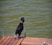 July4th2011 245